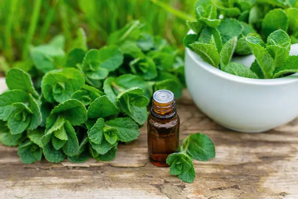 Nane özü, temel yağ ve takviyeler. Seçici odaklanma. Doğa.