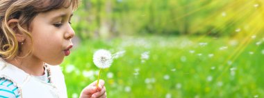 Çocuk parkta karahindiba üflüyor. Seçici odaklanma. Alerji çocuğu..