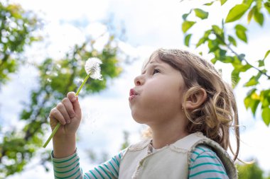 Çocuk parkta karahindiba üflüyor. Seçici odaklanma. Alerji çocuğu..