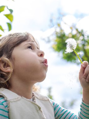 Çocuk parkta karahindiba üflüyor. Seçici odaklanma. Alerji çocuğu..