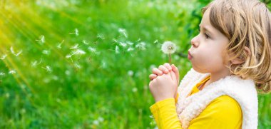 Çocuk parkta karahindiba üflüyor. Seçici odaklanma. Alerji çocuğu..
