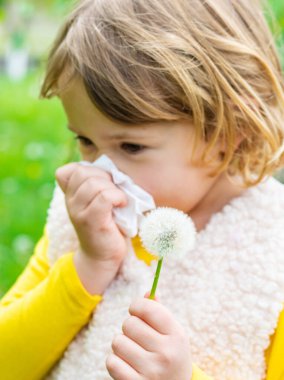 Çocuğun karahindibaya alerjisi var. Seçici odaklanma. Çocuk.