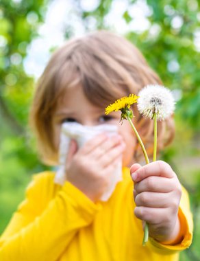 Çocuğun karahindibaya alerjisi var. Seçici odaklanma. Çocuk.