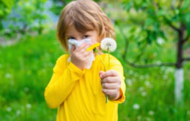 Çocuğun karahindibaya alerjisi var. Seçici odaklanma. Çocuk.