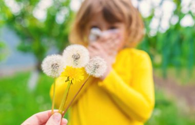 Çocuğun karahindibaya alerjisi var. Seçici odaklanma. Çocuk.