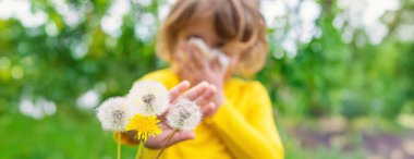 Çocuğun karahindibaya alerjisi var. Seçici odaklanma. Çocuk.