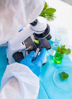 Laboratuvardaki bitkilerin araştırması. Seçici odaklanma. Doğa.