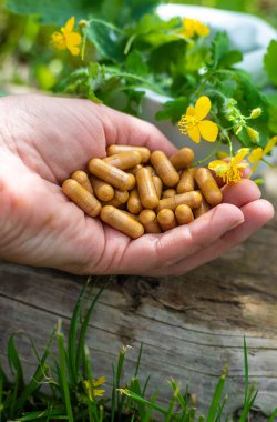 Şifalı bitkisel selandin özü ve diyet takviyeleri. Seçici odaklanma. Doğa.