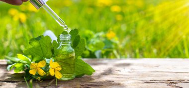 Şifalı bitkisel selandin özü ve diyet takviyeleri. Seçici odaklanma. Doğa.