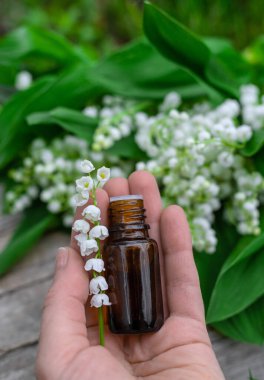 Vadi Zambağı bir şişede özütüyor. Seçici odaklanma. Doğa.