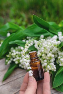 Vadi Zambağı bir şişede özütüyor. Seçici odaklanma. Doğa.