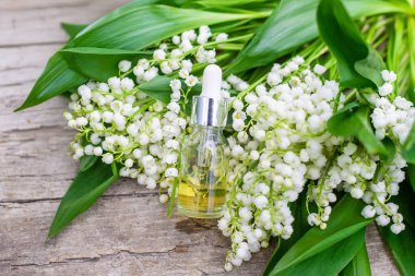 Vadi Zambağı bir şişede özütüyor. Seçici odaklanma. Doğa.