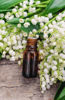 Vadi Zambağı bir şişede özütüyor. Seçici odaklanma. Doğa.