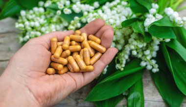 Vadi zambağı ve çiçek takviyesi. Seçici odaklanma. Doğa.