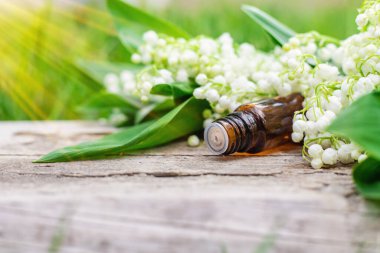 Vadi Zambağı bir şişede özütüyor. Seçici odaklanma. Doğa.