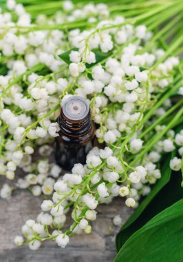 Vadi Zambağı bir şişede özütüyor. Seçici odaklanma. Doğa.