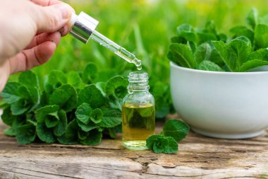 Nane özü, temel yağ ve takviyeler. Seçici odaklanma. Doğa.