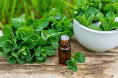 Nane özü, temel yağ ve takviyeler. Seçici odaklanma. Doğa.