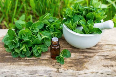 Nane özü, temel yağ ve takviyeler. Seçici odaklanma. Doğa.