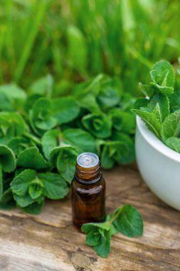 Nane özü, temel yağ ve takviyeler. Seçici odaklanma. Doğa.