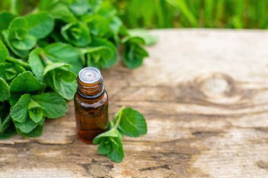 Nane özü, temel yağ ve takviyeler. Seçici odaklanma. Doğa.