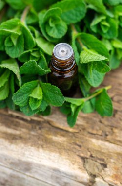 Nane özü, temel yağ ve takviyeler. Seçici odaklanma. Doğa.