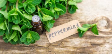 Nane özü, temel yağ ve takviyeler. Seçici odaklanma. Doğa.