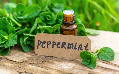 Nane özü, temel yağ ve takviyeler. Seçici odaklanma. Doğa.