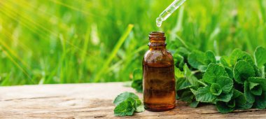 Nane özü, temel yağ ve takviyeler. Seçici odaklanma. Doğa.