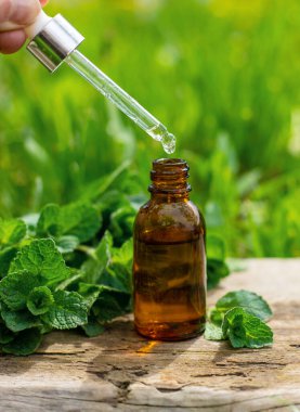 Nane özü, temel yağ ve takviyeler. Seçici odaklanma. Doğa.