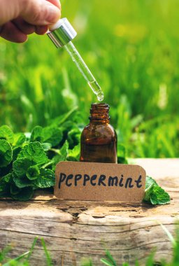 Nane özü, temel yağ ve takviyeler. Seçici odaklanma. Doğa.