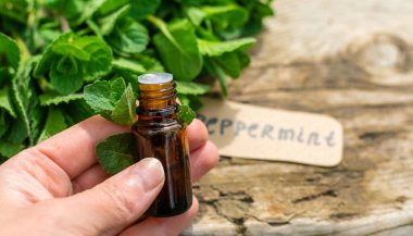 Nane özü, temel yağ ve takviyeler. Seçici odaklanma. Doğa.