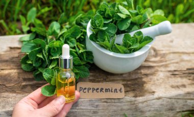 Nane özü, temel yağ ve takviyeler. Seçici odaklanma. Doğa.