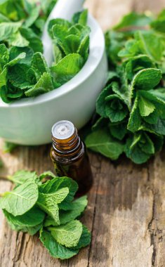 Nane özü, temel yağ ve takviyeler. Seçici odaklanma. Doğa.