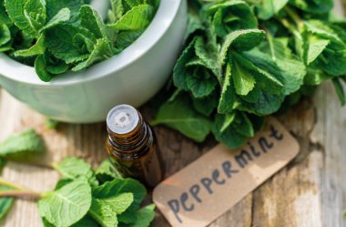 Nane özü, temel yağ ve takviyeler. Seçici odaklanma. Doğa.