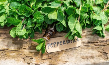 Nane özü, temel yağ ve takviyeler. Seçici odaklanma. Doğa.