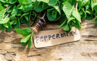 Nane özü, temel yağ ve takviyeler. Seçici odaklanma. Doğa.