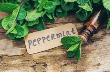 Nane özü, temel yağ ve takviyeler. Seçici odaklanma. Doğa.