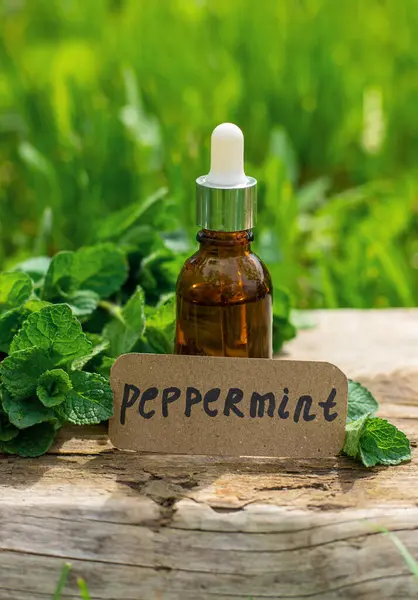 Nane özü, temel yağ ve takviyeler. Seçici odaklanma. Doğa.