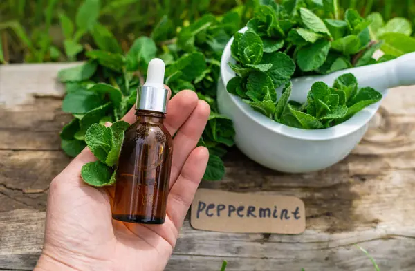 Nane özü, temel yağ ve takviyeler. Seçici odaklanma. Doğa.