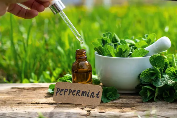 Nane özü, temel yağ ve takviyeler. Seçici odaklanma. Doğa.