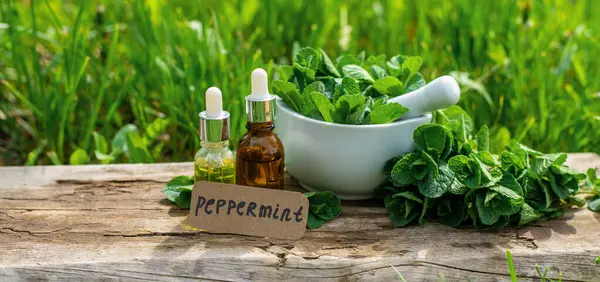 Nane özü, temel yağ ve takviyeler. Seçici odaklanma. Doğa.