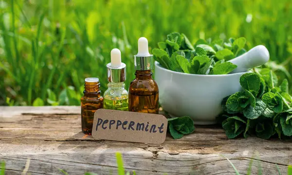 Nane özü, temel yağ ve takviyeler. Seçici odaklanma. Doğa.