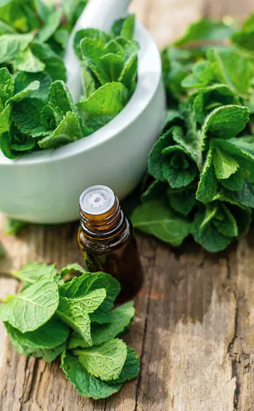 Nane özü, temel yağ ve takviyeler. Seçici odaklanma. Doğa.