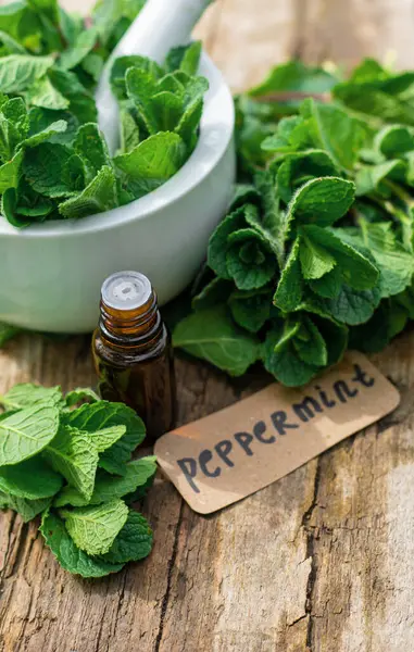 Nane özü, temel yağ ve takviyeler. Seçici odaklanma. Doğa.