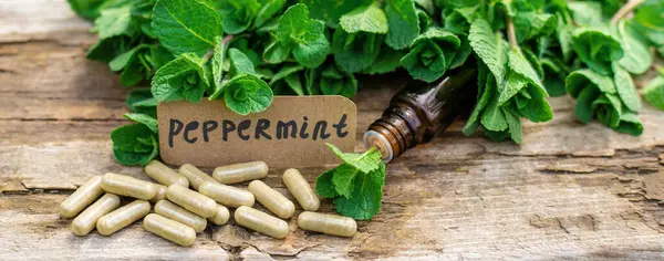 Nane özü, temel yağ ve takviyeler. Seçici odaklanma. Doğa.