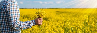 Hardal tarlasında çiftçi. Seçici odaklanma. Doğa.