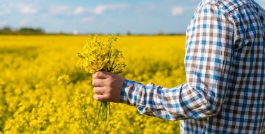 Hardal tarlasında çiftçi. Seçici odaklanma. Doğa.