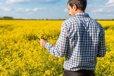 Hardal tarlasında çiftçi. Seçici odaklanma. Doğa.