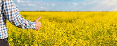 Hardal tarlasında çiftçi. Seçici odaklanma. Doğa.